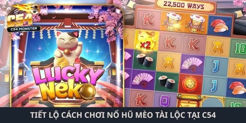 Tiết lộ cách chơi nổ hũ mèo tài lộc tại C54